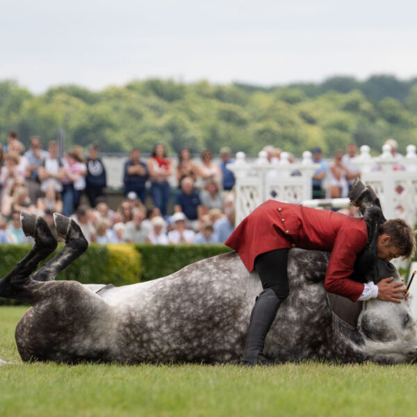 Ben Atkinson, performing with one of his horses at Country fair