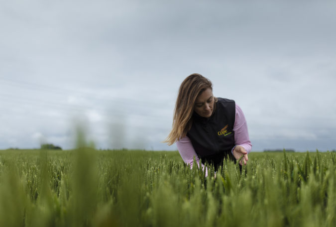 Gemma Clarke Cope Seeds & Grain field