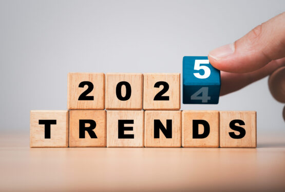 Wooden blocks with 2024/2025 date